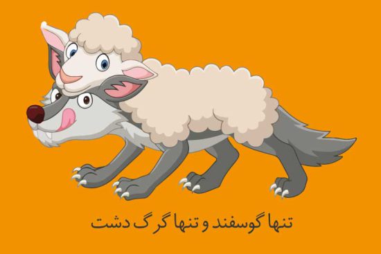 تنها گوسفند و تنها گرگ دشت